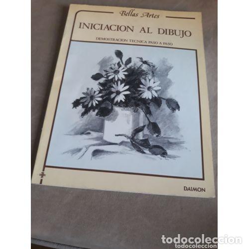 B&uuml;cher: Iniciaci&oacute;n Al Dibujo Bellas Artes - Blake, Wendon / Petrie, Ferdinand - Editorial Daimon