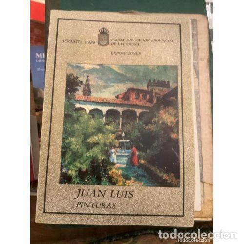 Libros: JUAN LUIS PINTURAS - Sin Especificar - Sin Especificar