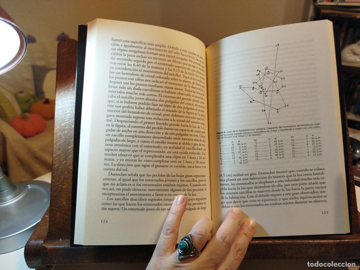 Libros: Plantas trepadoras - Darwin, charles - Foto 3