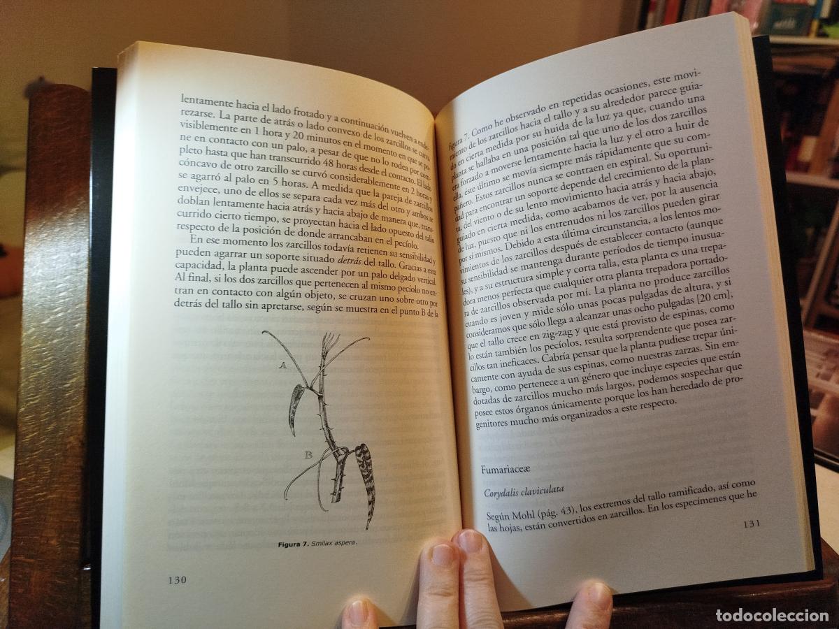 Libros: Plantas trepadoras - Darwin, charles - Foto 4