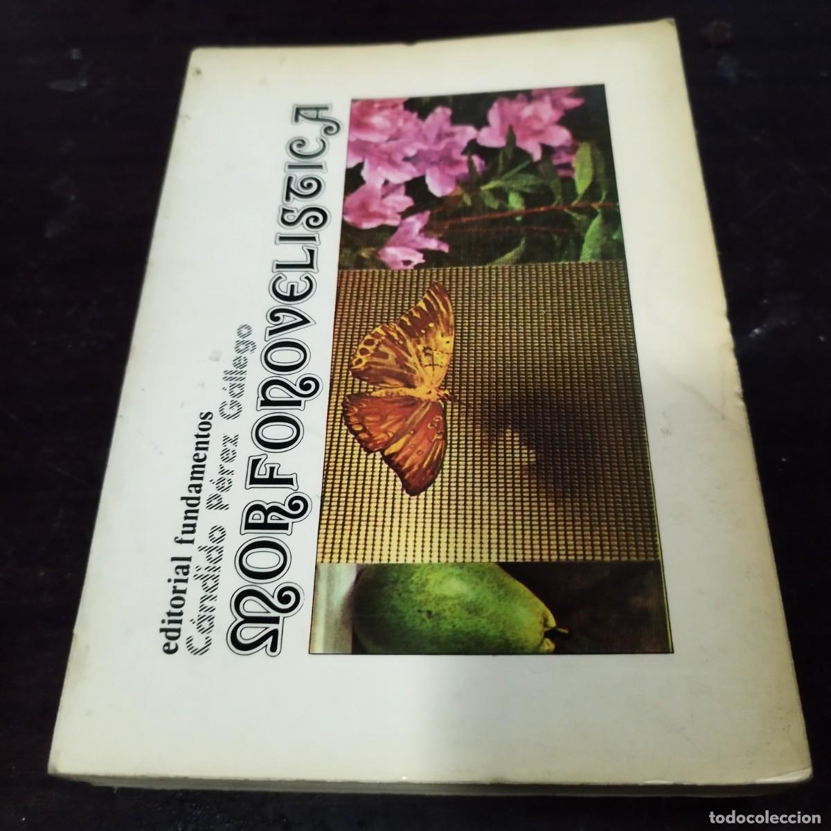 Libros: MORFONOVELISTICA / CANDIDO PEREZ GALLEGO / / FUNDAMENTOS / - Foto 2