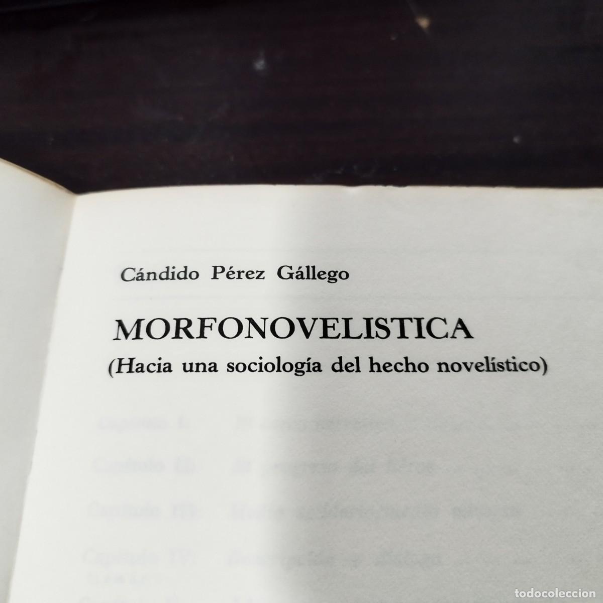 Libros: MORFONOVELISTICA / CANDIDO PEREZ GALLEGO / / FUNDAMENTOS / - Foto 3