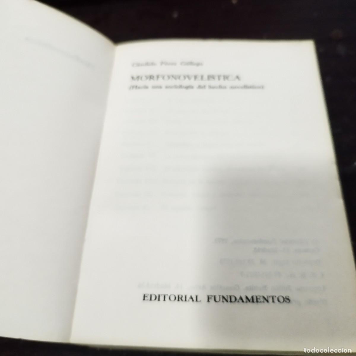 Libros: MORFONOVELISTICA / CANDIDO PEREZ GALLEGO / / FUNDAMENTOS / - Foto 4