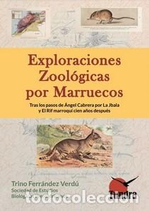 Libros: LEO PIENSO COMPRENDO 1 - MARRODAN GIRONES, MARIA JOSE - Foto 1