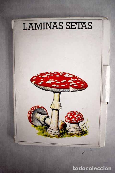 Libros: L&aacute;minas de setas: : Laboratorio Emyfar.