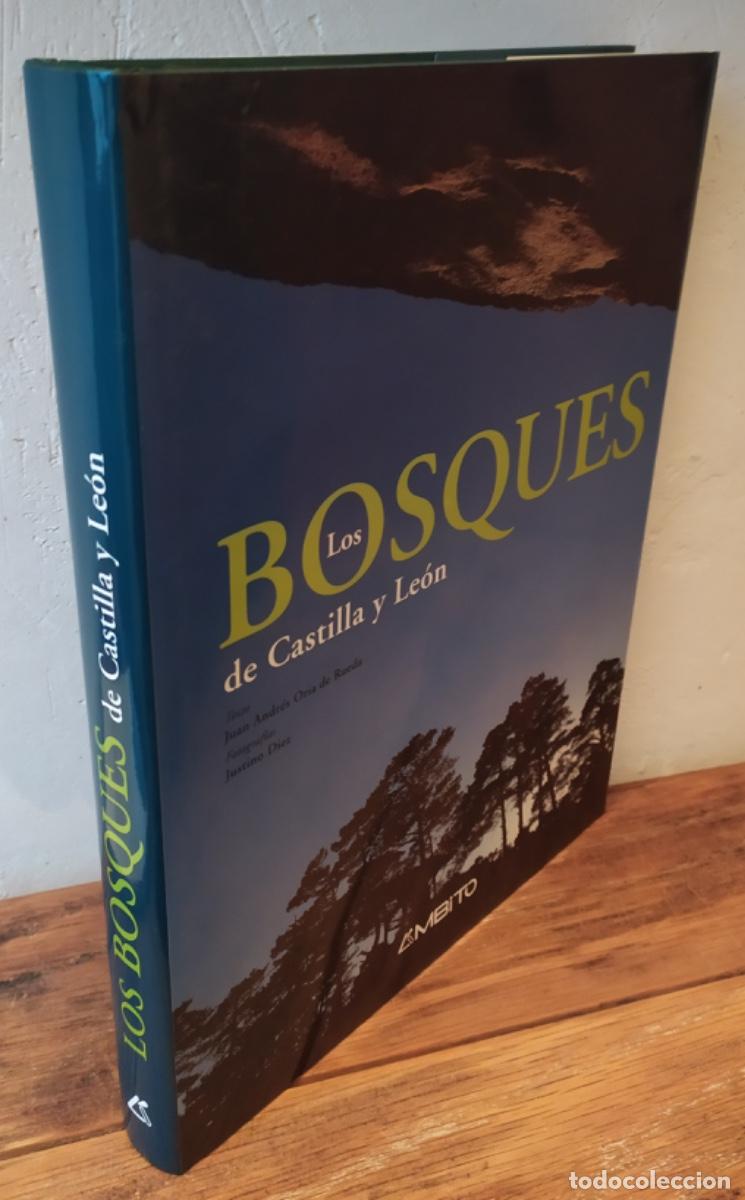 Libri di seconda mano: LOS BOSQUES DE DE CASTILLA Y LE&Oacute;N - JUAN ANDR&Eacute;S ORIA DE RUEDA (Texto), JUSTINO D&Iacute;EZ (Fotograf&iacute;a)