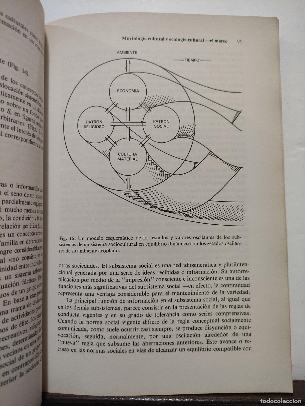 Libros: ARQUEOLOGIA ANALITICA - DAVID L. CLARKE - Foto 2
