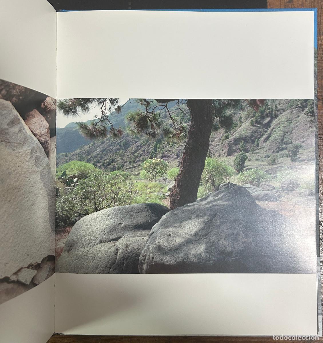 Libros: LA PALMA OLAD&Eacute;L&Eacute; AJIBOY&Eacute; BAMGBOY&Eacute; - NICOL&Aacute;S MELINI - 2003 - CANARIAS - Foto 2