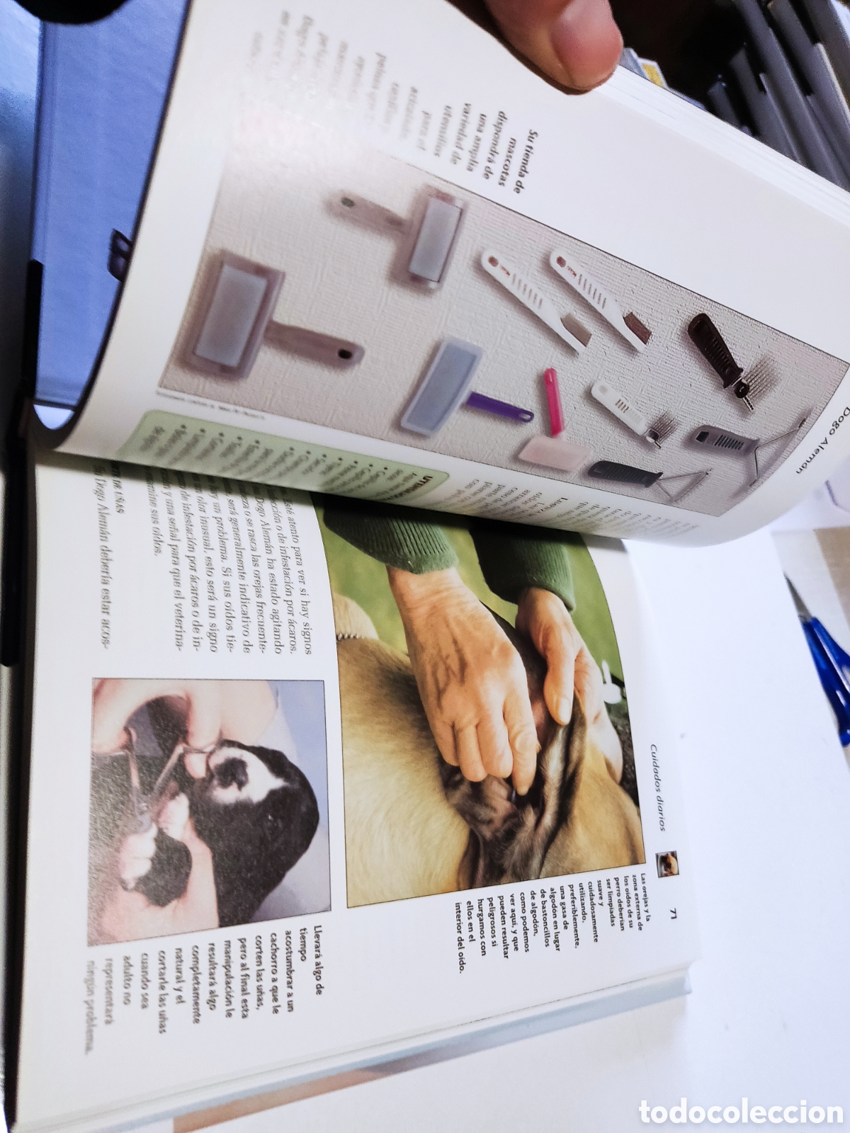 Libros: Libro perro Dogo alem&aacute;n - Foto 4