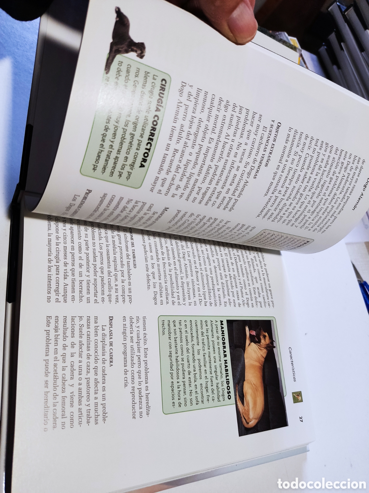 Libros: Libro perro Dogo alem&aacute;n - Foto 6