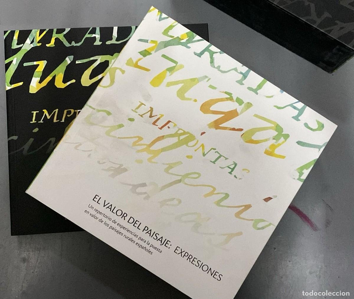 Libros: El valor del paisaje: Expresiones. - VVAA - Foto 1