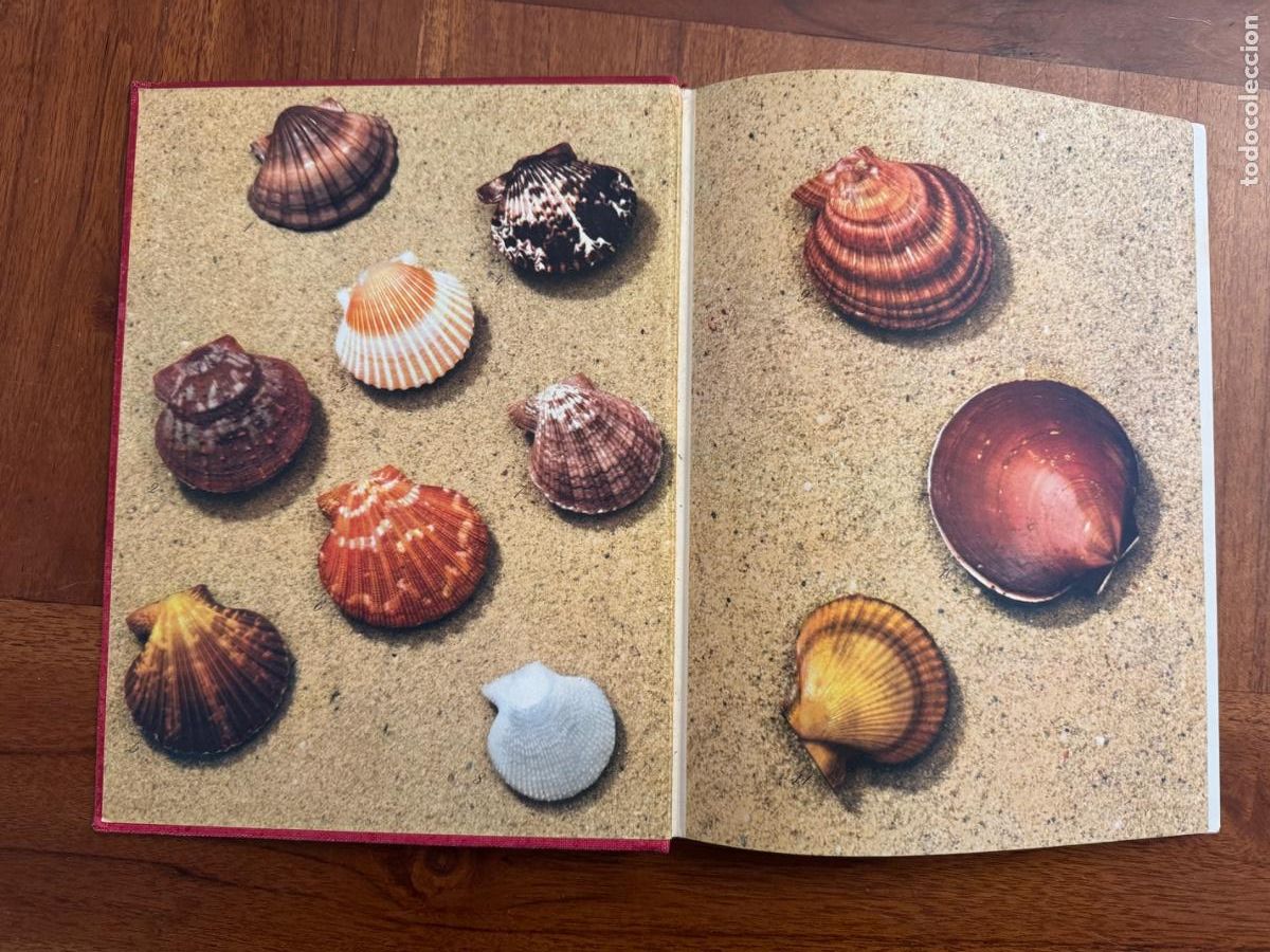 Libros: Shell: A Woords Pedigree. b. Woledge - Foto 2