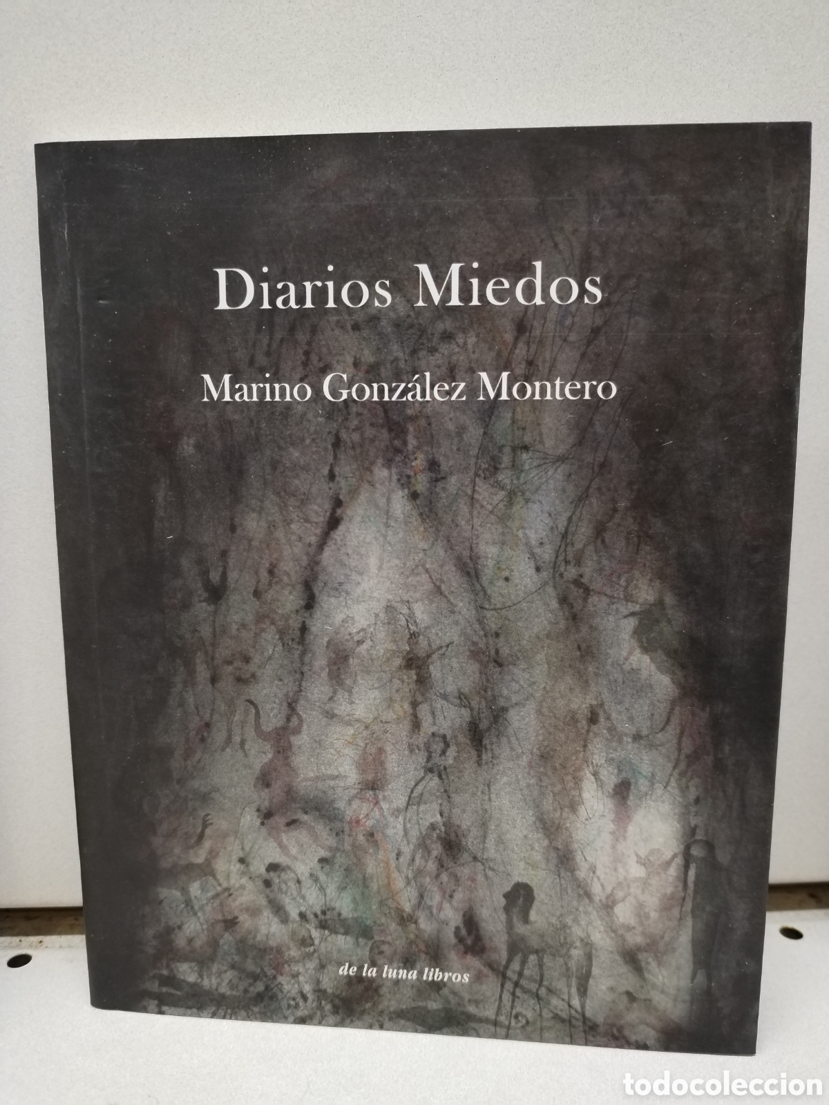 Libros: Diarios miedos - Gonz&aacute;lez Montero, Marino - Foto 1