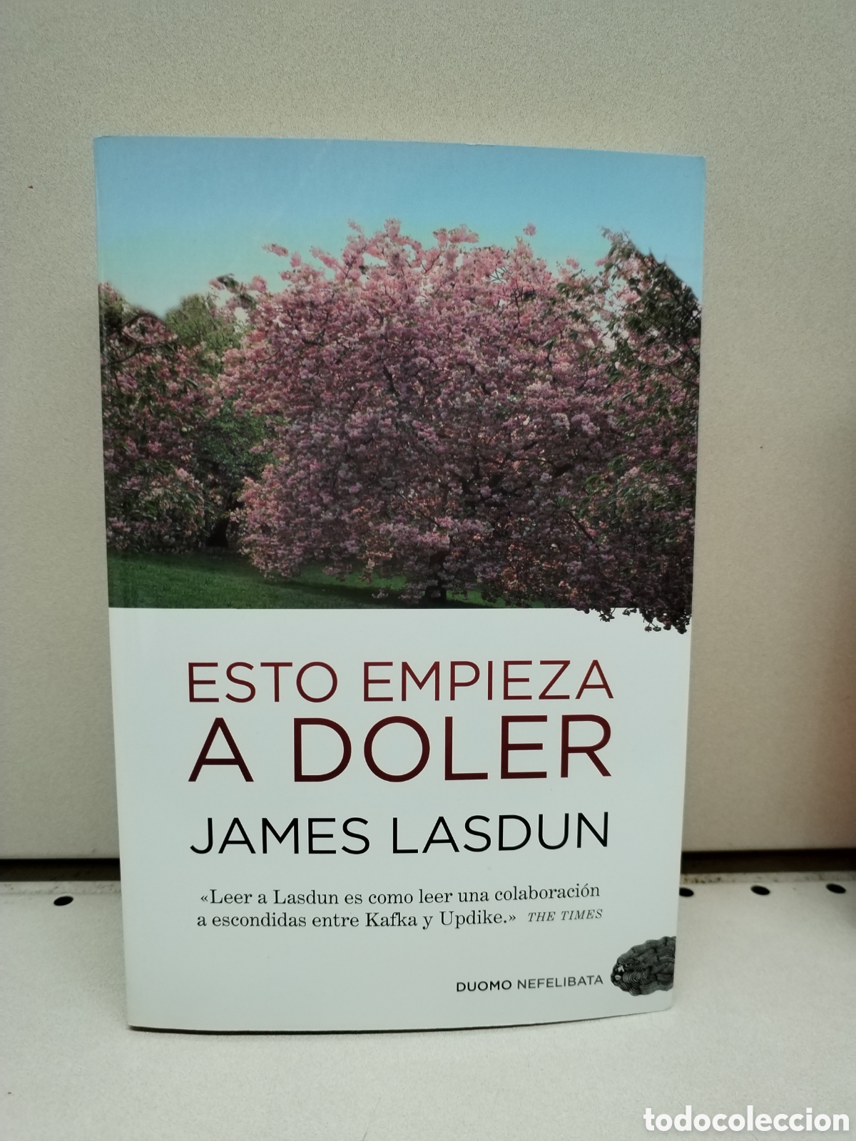 Libros: Esto empieza a doler - Lasdun, James - Foto 1