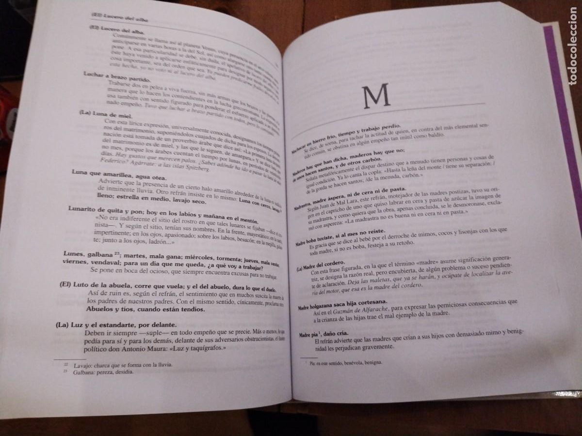 Libros: AMF-0D/ DICCIONARIO DE REFRANES, DICHOS Y PROVERBIOS - LUIS JUNCEDA / ESPASA - Foto 6