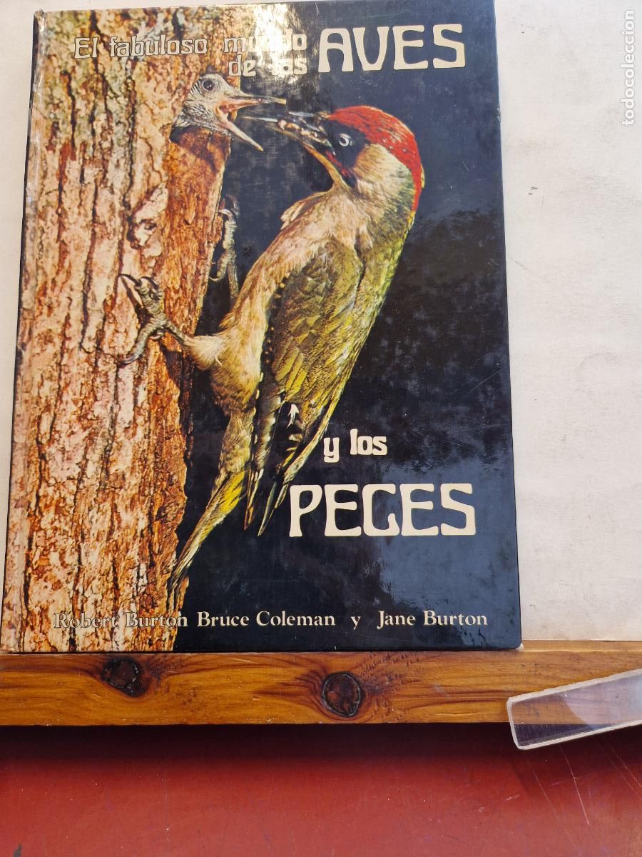 B&uuml;cher: EL FABULOSO MUNDO DE LAS AVES Y LOS PECES. ROBERT BURTON BRUCEE Y JANE BURTON.