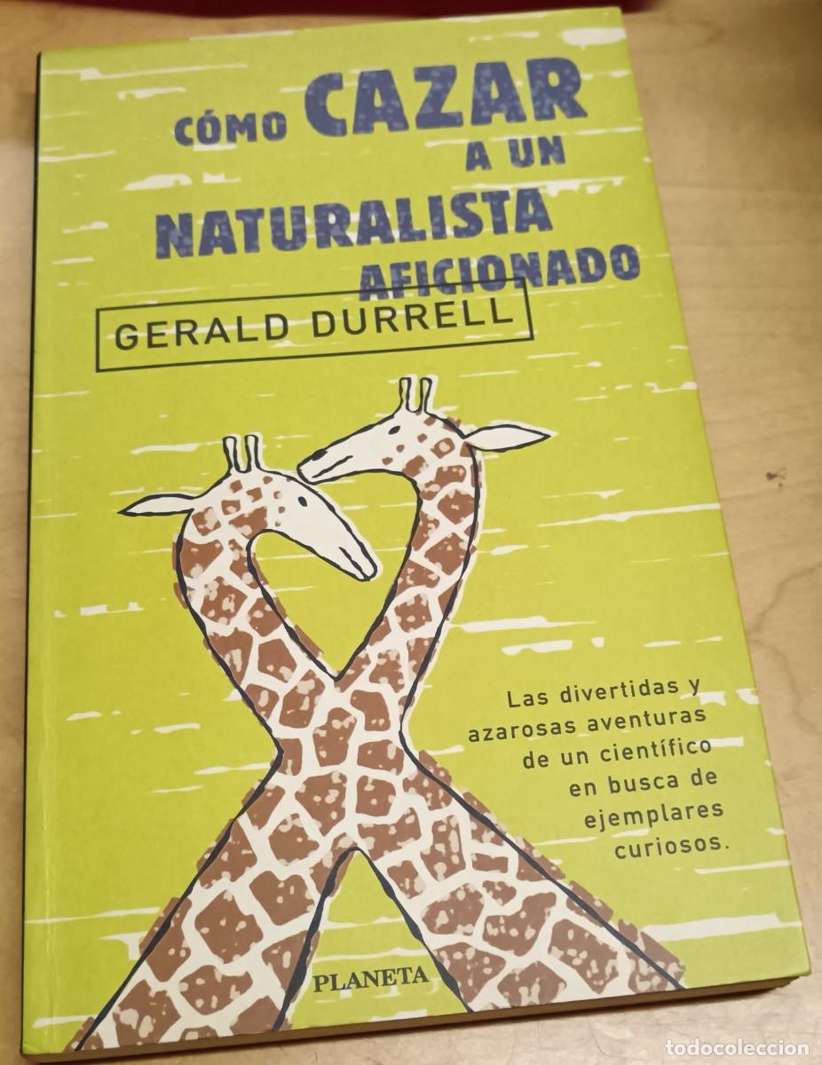 Libros: C&oacute;mo cazar a un naturalista aficionado - DURRELL, GERALD - Foto 1