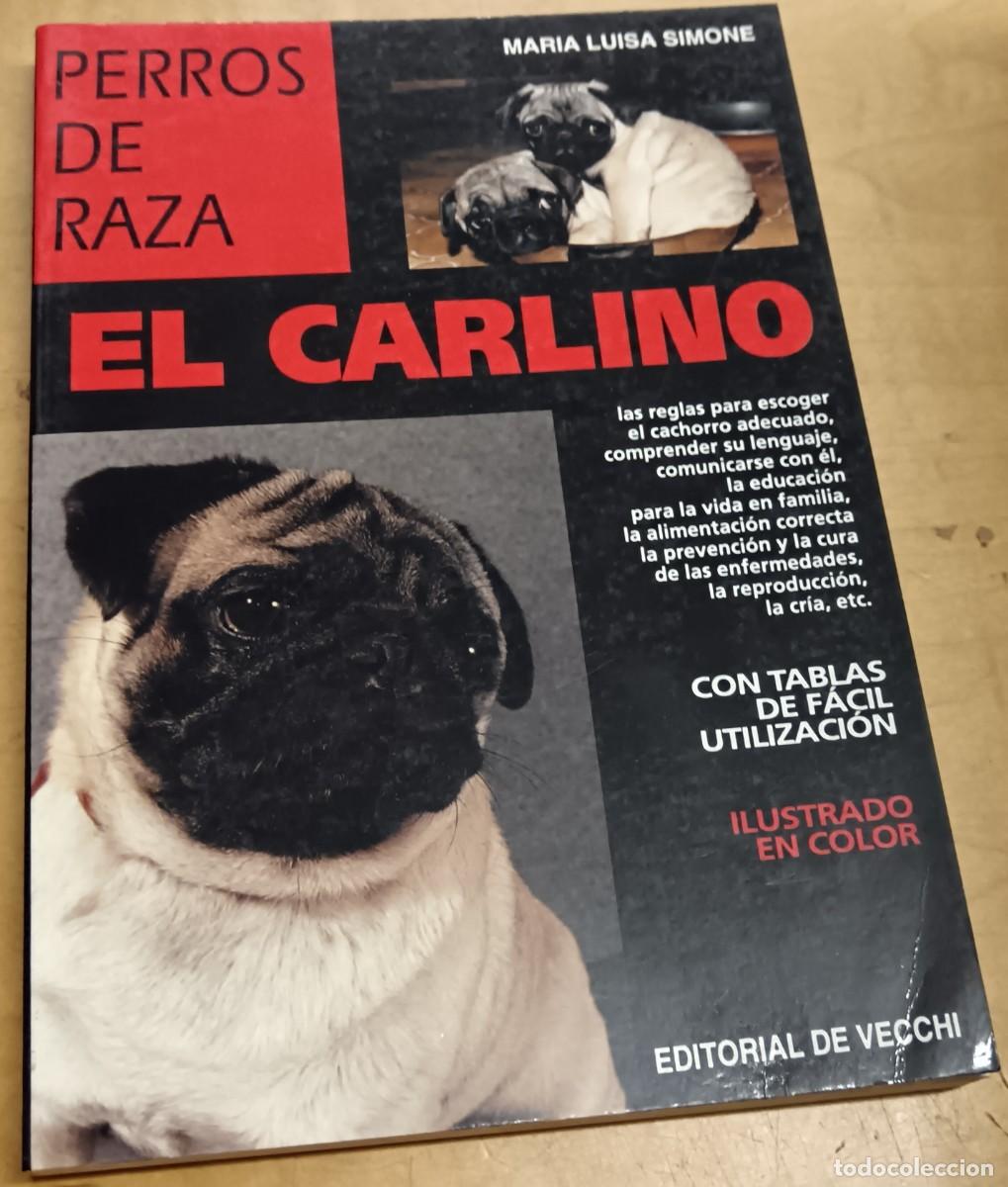 Libros: Perros de raza. El carlino - SIMONE, MAR&Iacute;A LUISA - Foto 1