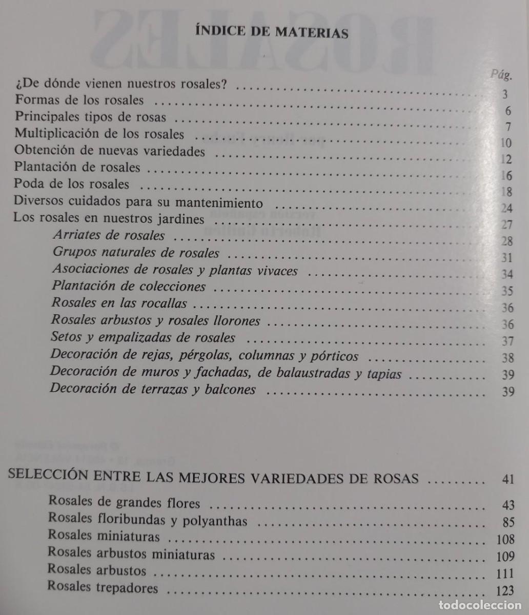 Libros: Rosales. - FUCHS, Henry: - Foto 2
