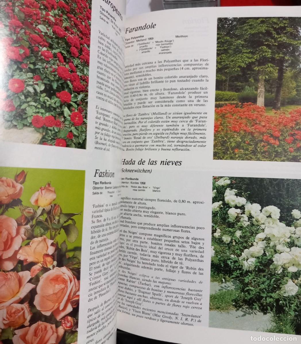 Libros: Rosales. - FUCHS, Henry: - Foto 3