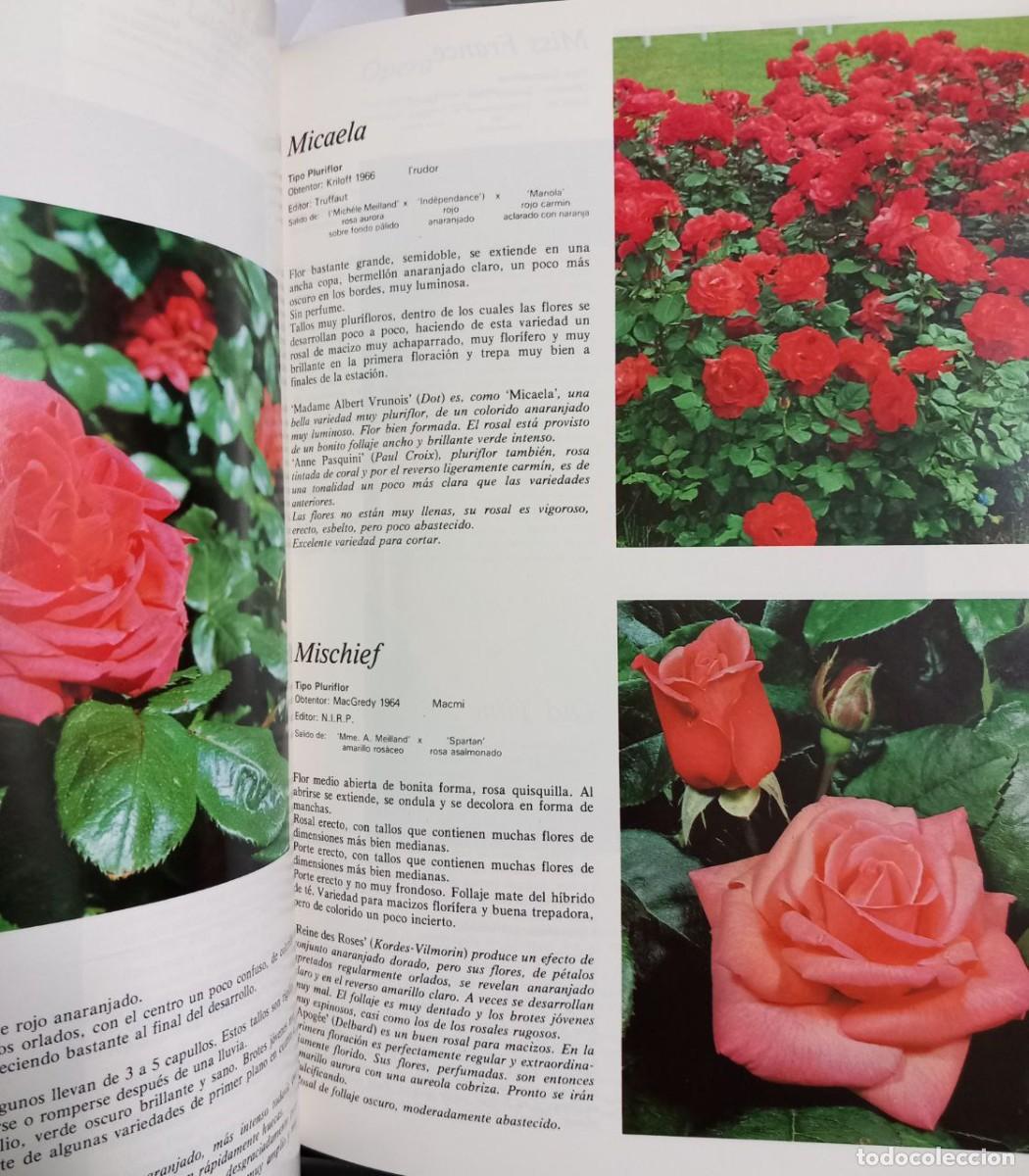 Libros: Rosales. - FUCHS, Henry: - Foto 4