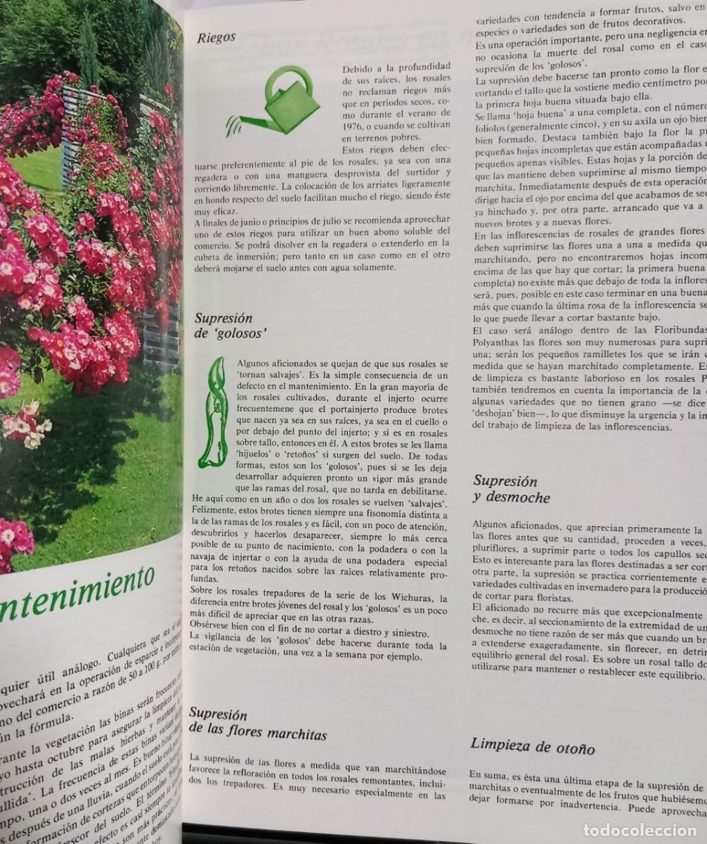 Libros: Rosales. - FUCHS, Henry: - Foto 5