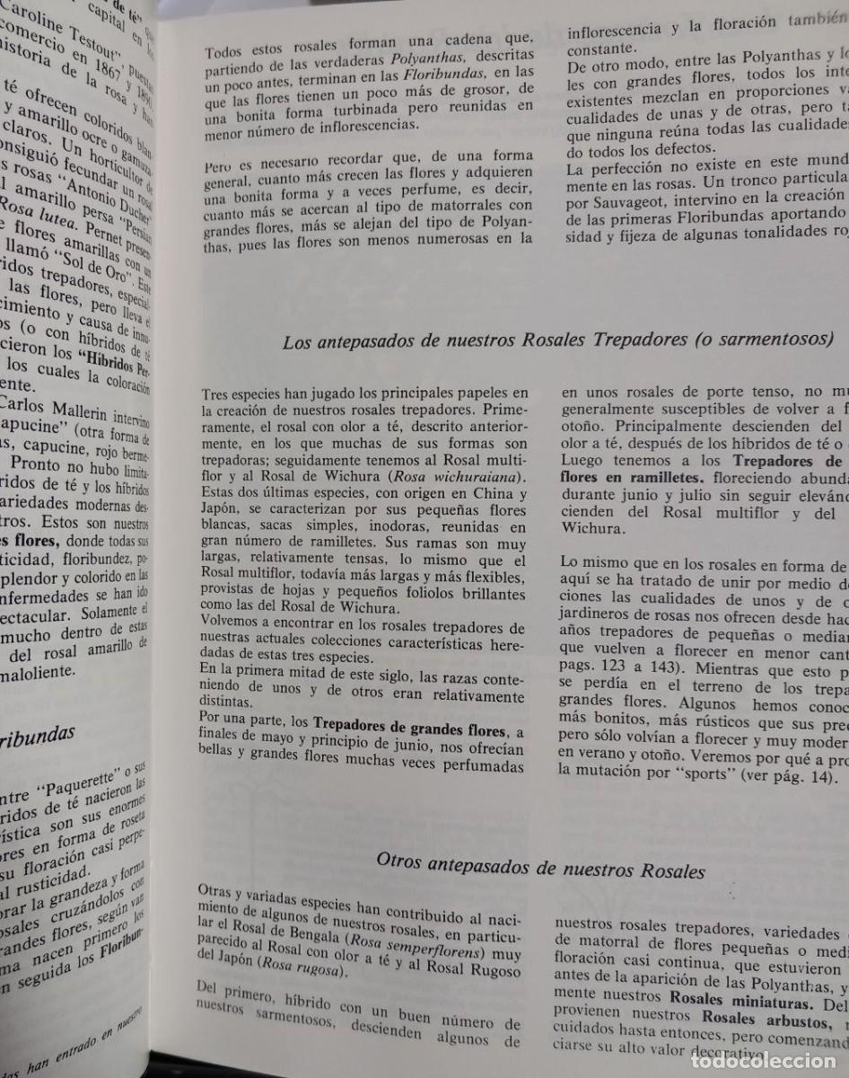 Libros: Rosales. - FUCHS, Henry: - Foto 6