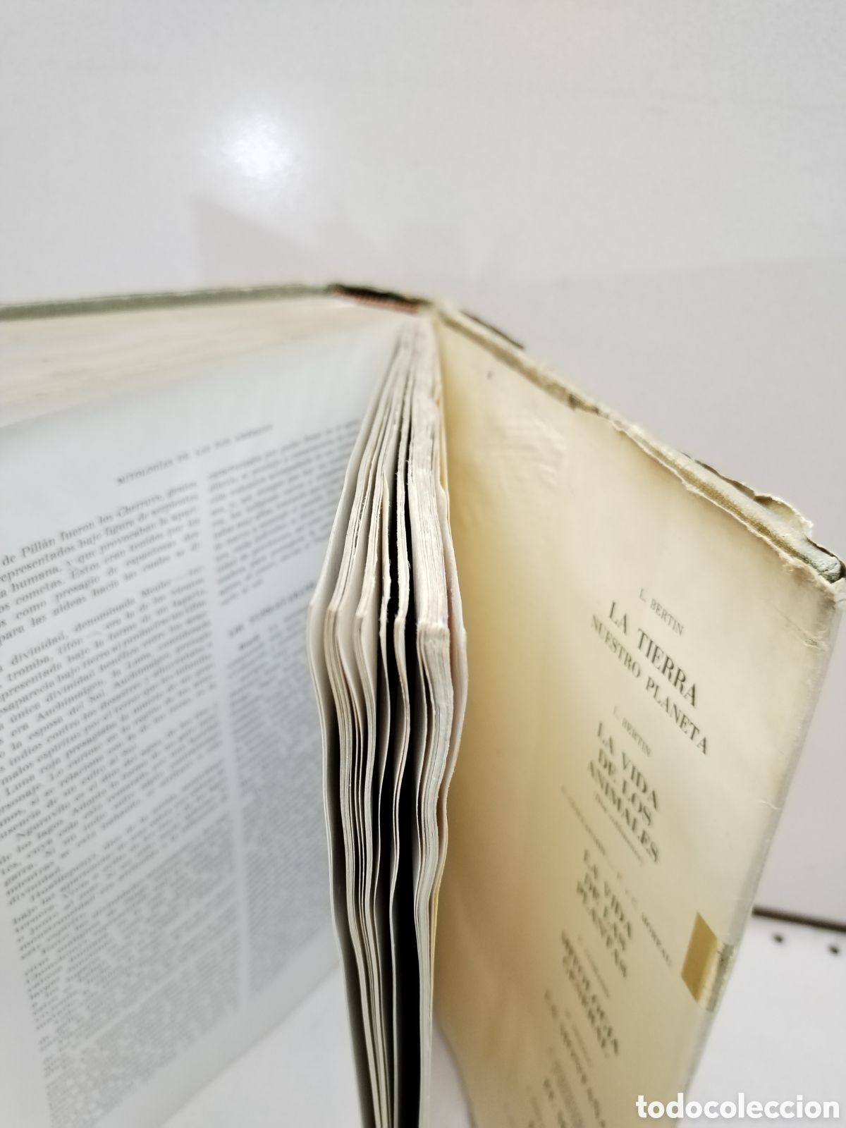 Libros: MITOLOGIA GENERAL - F. GUIRAND - Foto 2