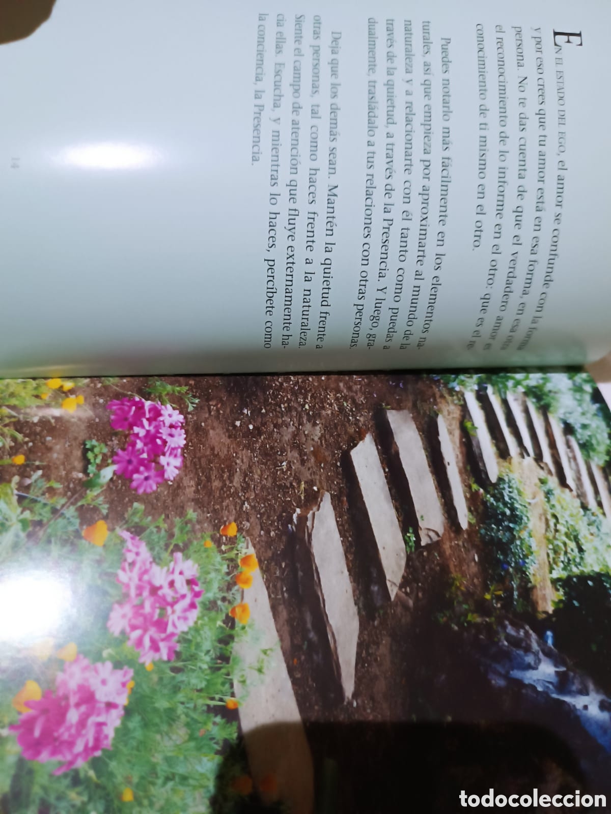 Libros: La Quietud en medio del mundo - Foto 4