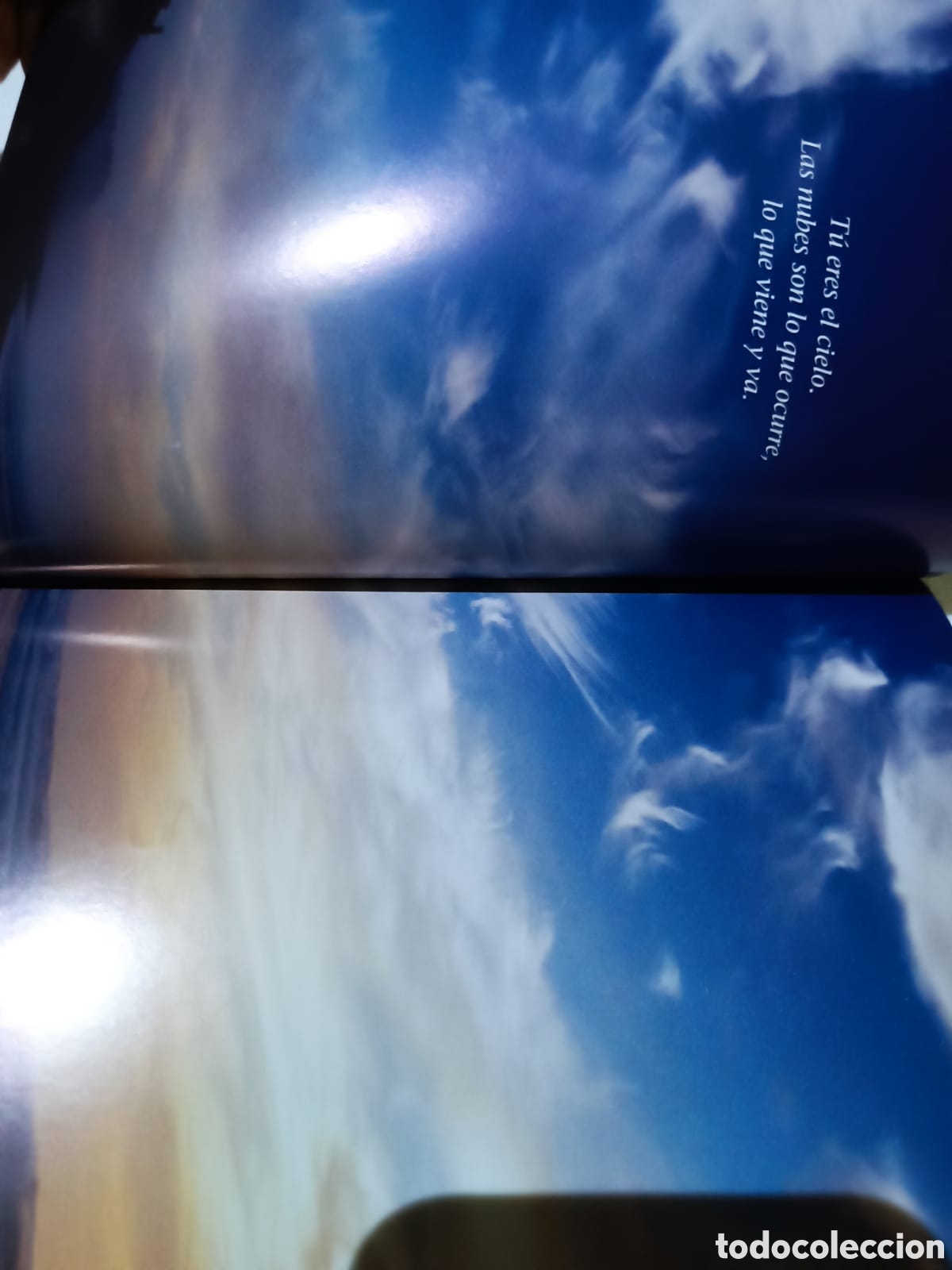 Libros: La Quietud en medio del mundo - Foto 5