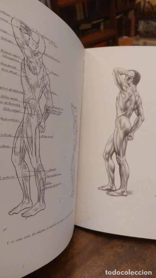 Libros: DIBUJANDO LA FIGURA MASCULINA - - FREIXAS, Emilio. - Foto 3