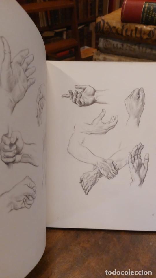 Libros: DIBUJANDO LA FIGURA MASCULINA - - FREIXAS, Emilio. - Foto 4