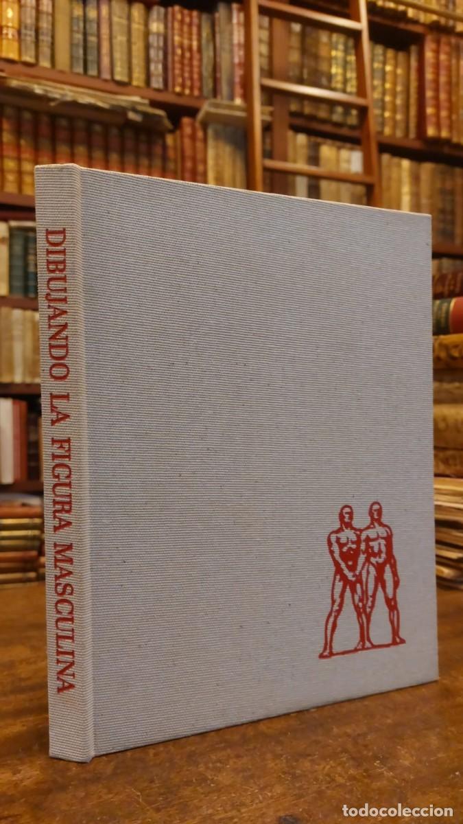Libros: DIBUJANDO LA FIGURA MASCULINA - - FREIXAS, Emilio. - Foto 1
