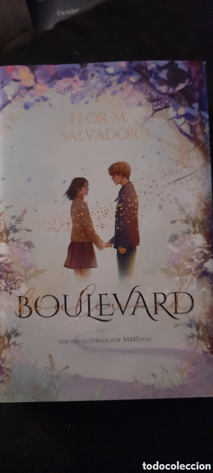 Libros: Boulevard. Flor M. Salvador - Foto 1