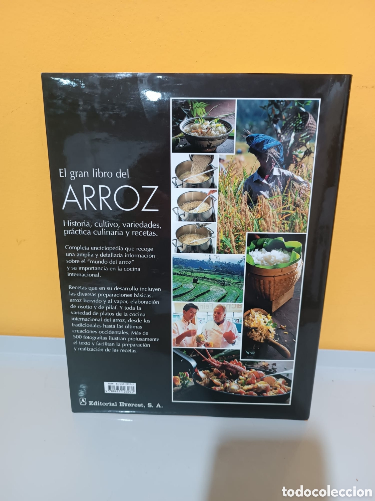 Libros: El Gran Libro del arroz - Foto 2