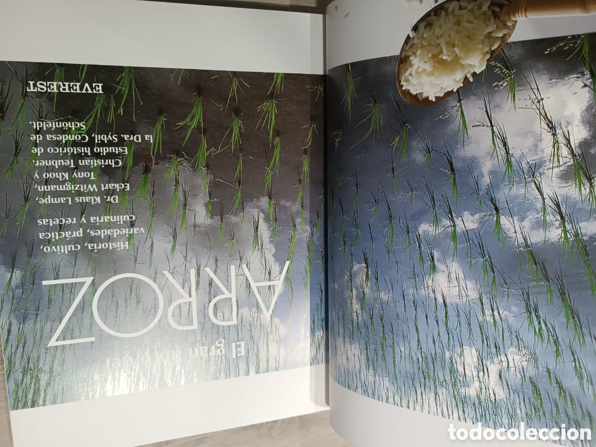 Libros: El Gran Libro del arroz - Foto 4