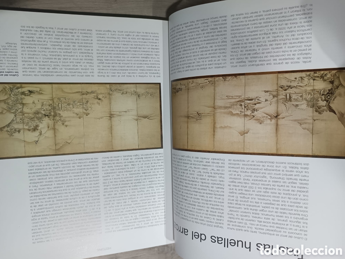 Libros: El Gran Libro del arroz - Foto 6