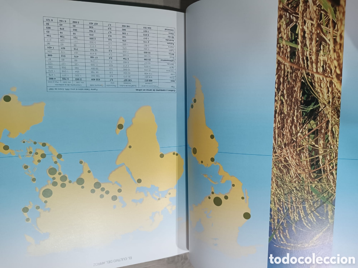 Libros: El Gran Libro del arroz - Foto 7