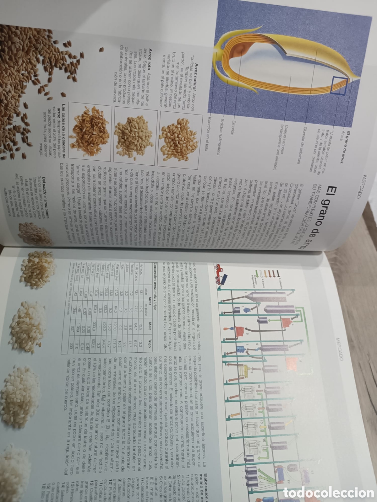 Libros: El Gran Libro del arroz - Foto 9
