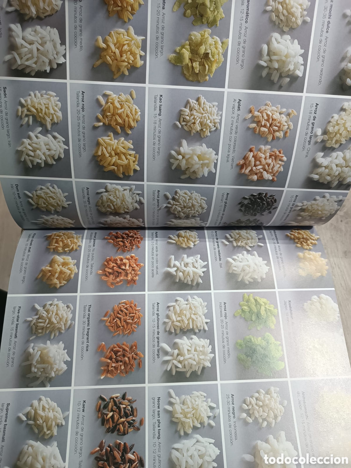 Libros: El Gran Libro del arroz - Foto 10