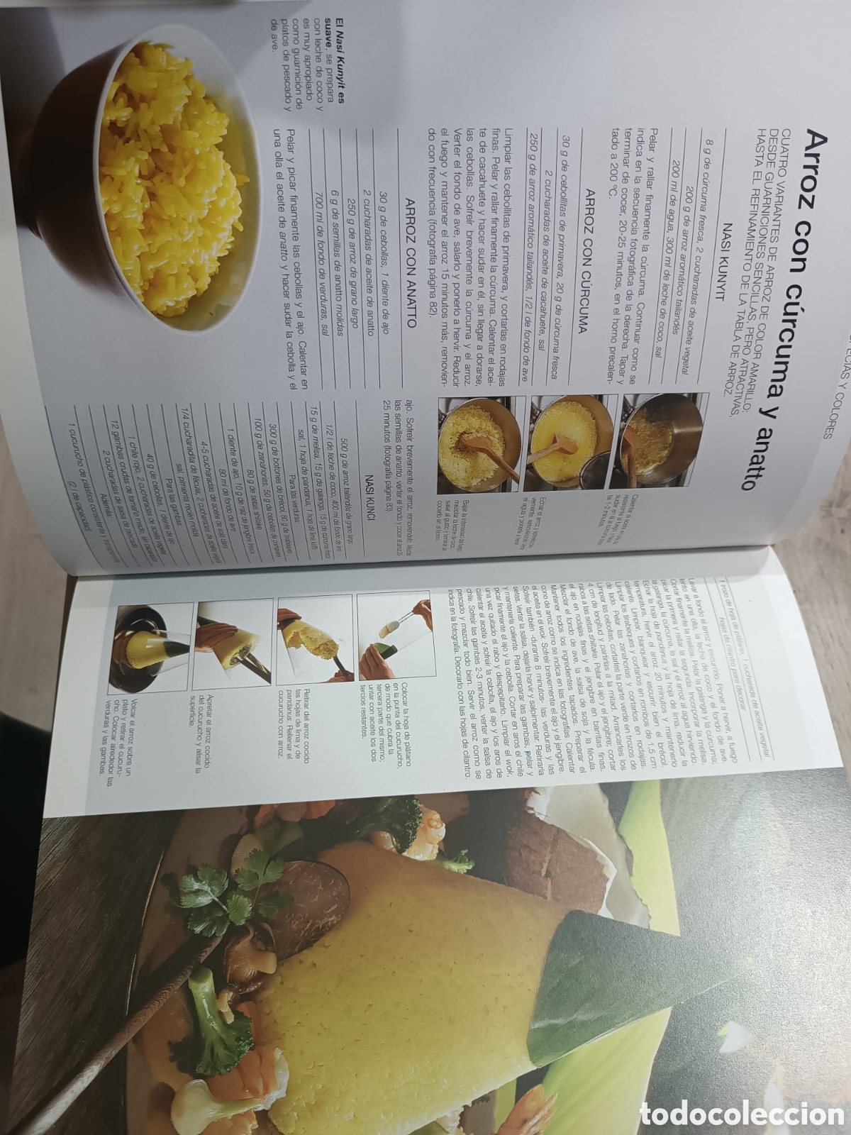 Libros: El Gran Libro del arroz - Foto 11
