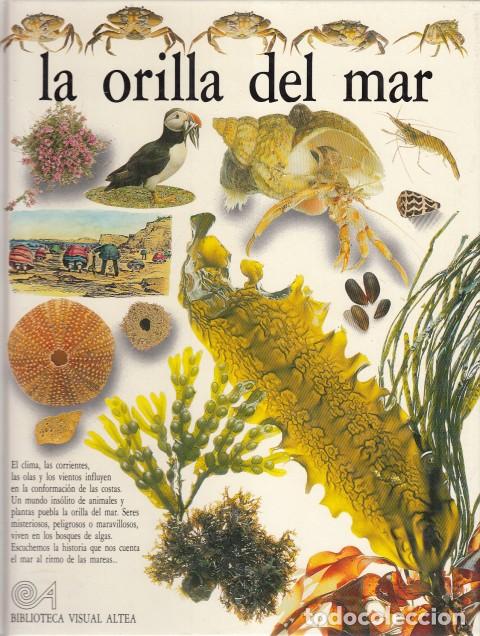 Libros: LA ORILLA DEL MAR - PARKER, STEVE - Foto 1