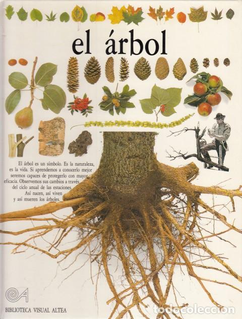 Libros: EL &Aacute;RBOL - BURNIE, DAVID - Foto 1