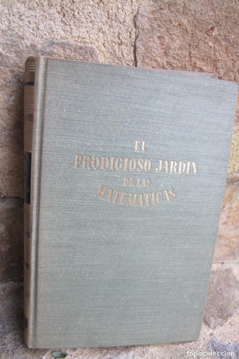 Libros: EL PRODIGIOSO JARDIN DE LAS MATEMATICAS. ALEXANDER NIKLITSCHEK - Foto 1