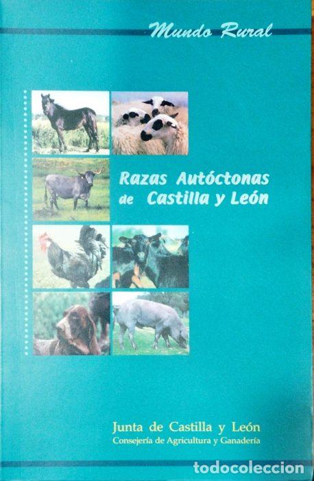 Libros: Razas aut&oacute;ctonas de Castilla y Le&oacute;n - VVAA - Foto 1