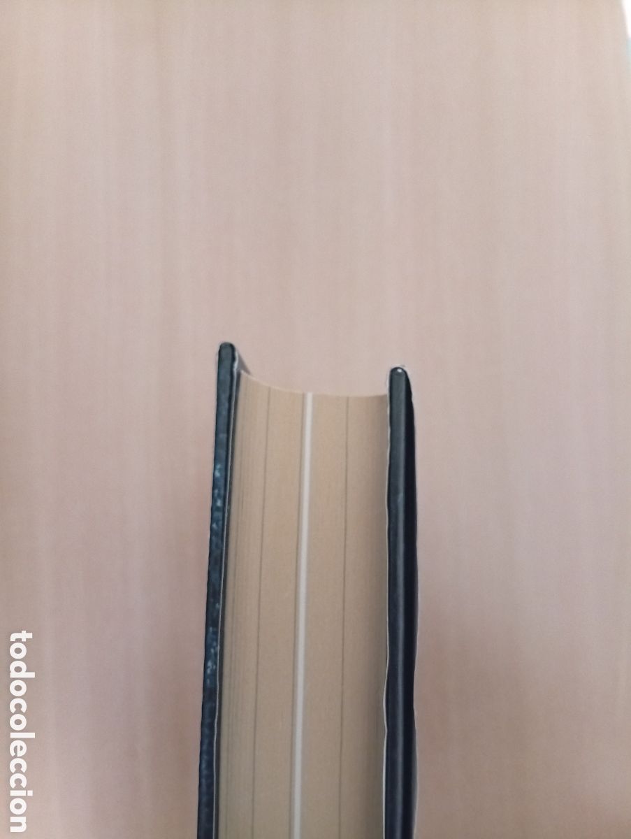 Libros: LOS OTROS. Javier P&eacute;rez Campos - Foto 7