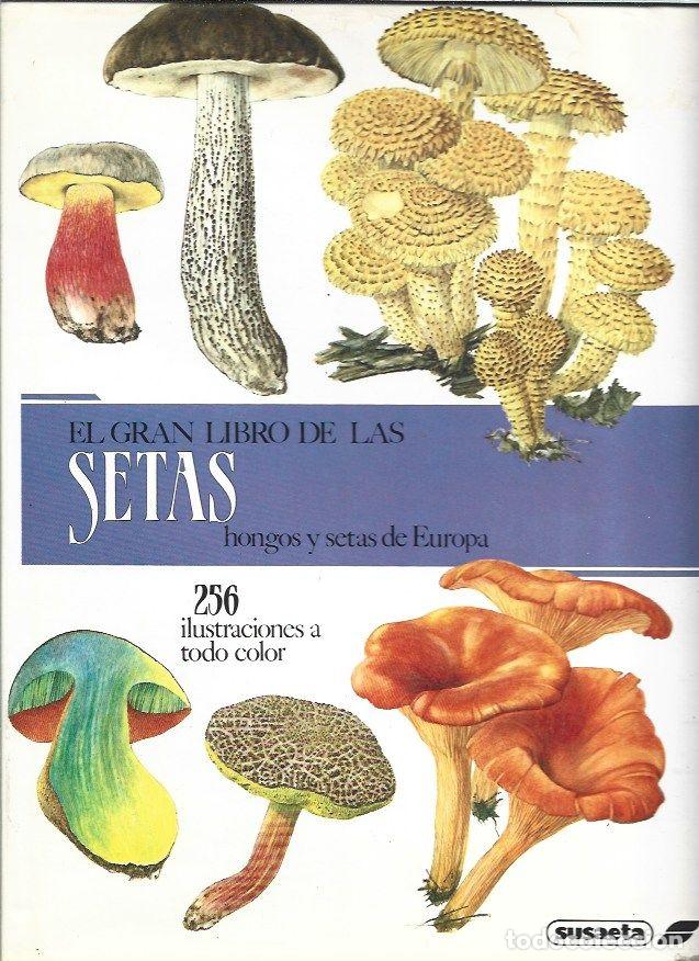 Libros: GRAN LIBRO DE LAS SETAS - EL. HONGOS Y SETAS DE EUROPA - VARIOS - Foto 1
