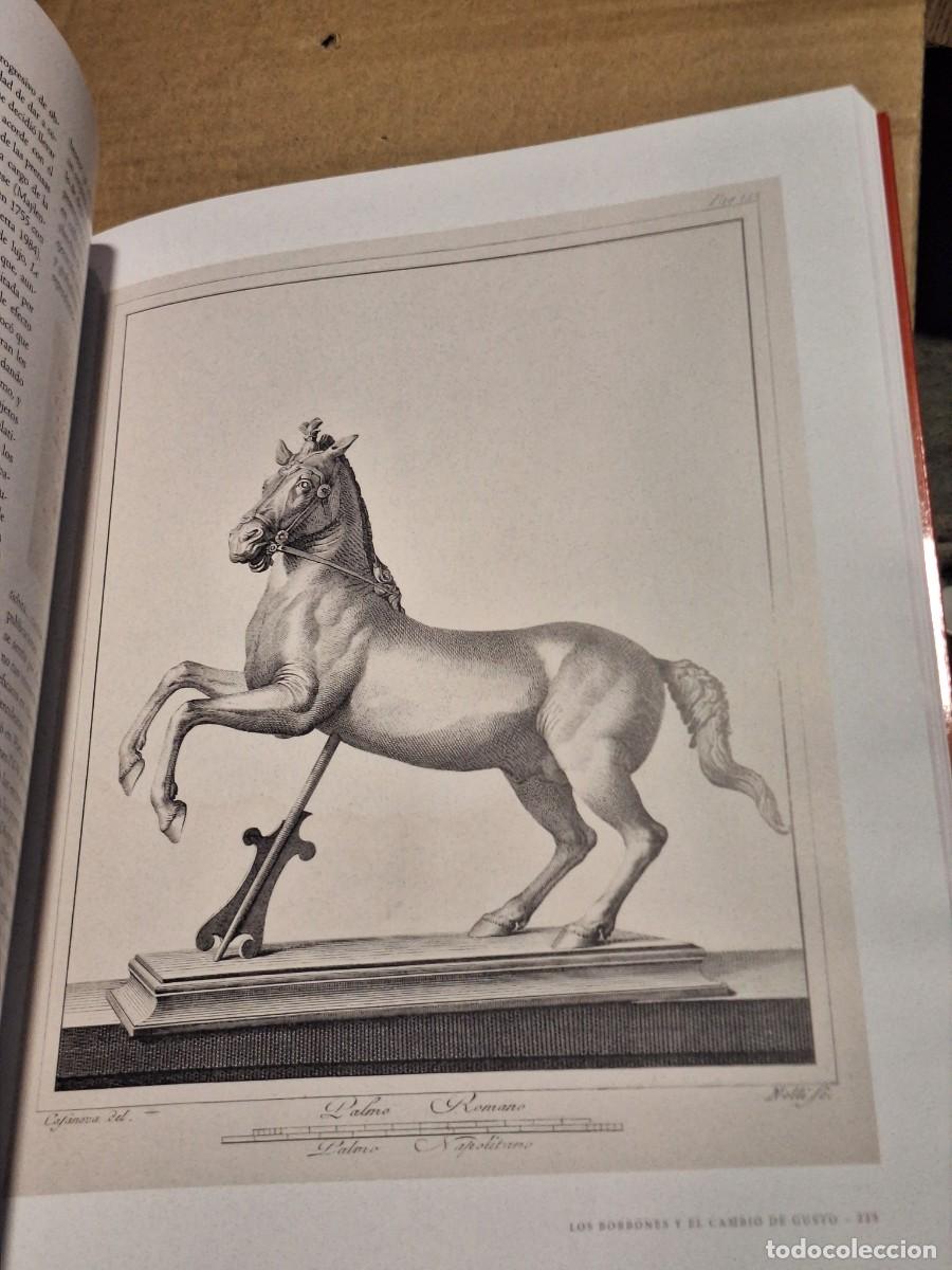 Libros: BRILLOS EN BRONCE COLECCIONES DE REYES - CATALOGO - Foto 5
