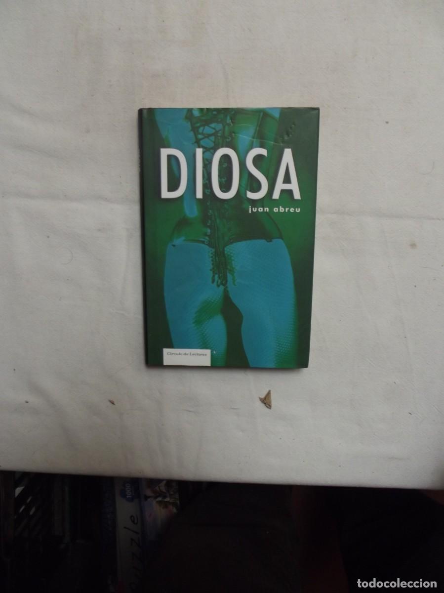 Libros: LIBRO DIOSA DE JUAN ABREU - Foto 1