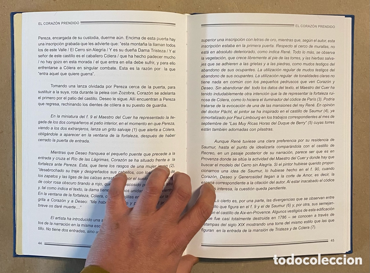 Libros: EL LIBRO DEL CORAZ&Oacute;N ENAMORADO - PRENDIDO. REPRODUCCI&Oacute;N FACS&Iacute;MIL DEL C&Oacute;DEX VINDOBONESIS - Foto 10